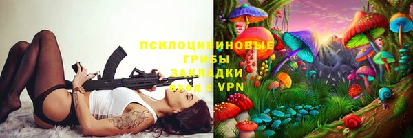 кокс Ельня